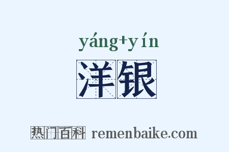 洋银是什么意思的图片